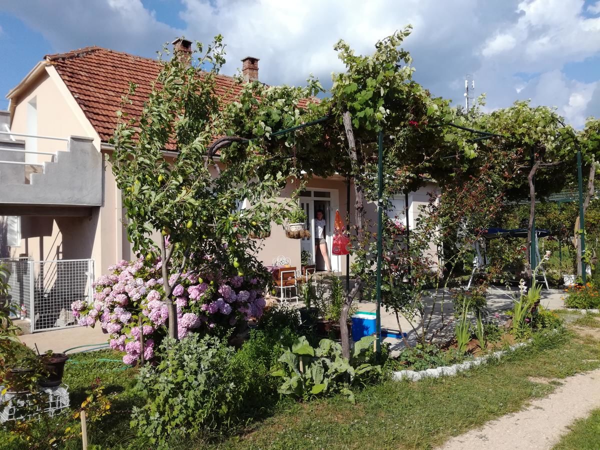 Отели типа «постель и завтрак» Frile Apartments Никшич-4