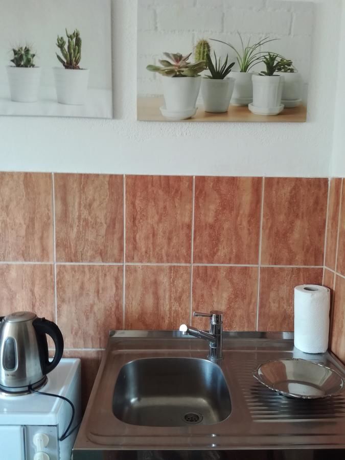Отели типа «постель и завтрак» Frile Apartments Никшич-18