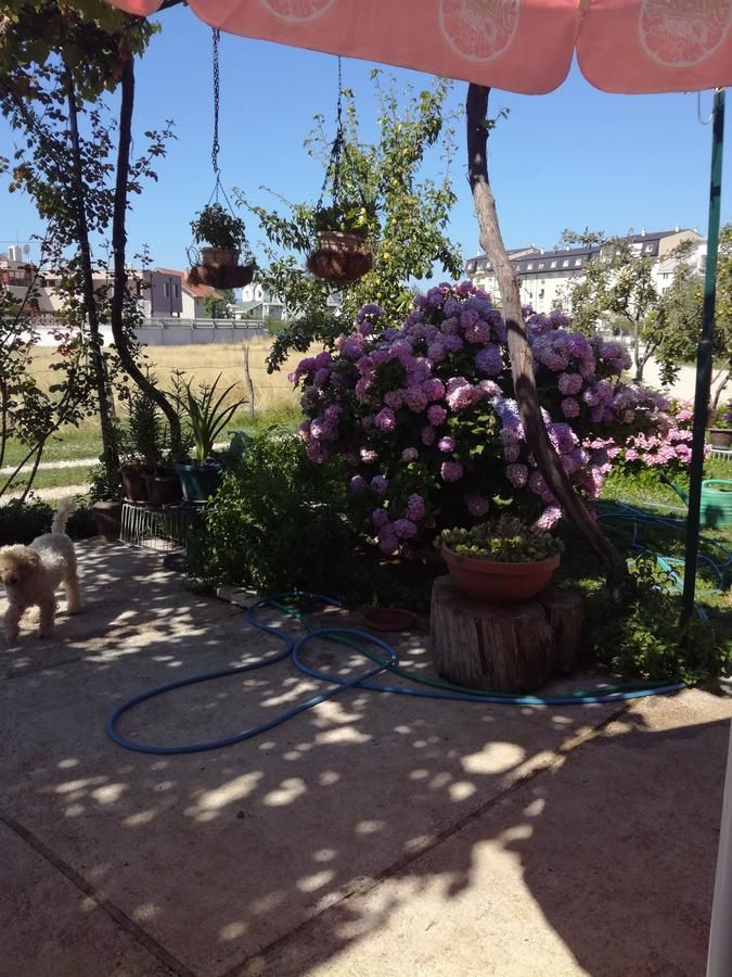 Отели типа «постель и завтрак» Frile Apartments Никшич-31