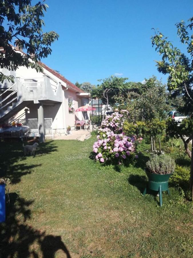 Отели типа «постель и завтрак» Frile Apartments Никшич-40